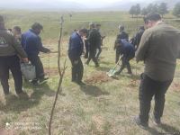 Zəngilanda ağac əkilən ərazilər vaxtilə sıx meşəlik olub - Firdovsi Əliyev (FOTO)