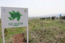 В Азербайджане успешно  продолжается  «Зеленый марафон» (ФОТО)