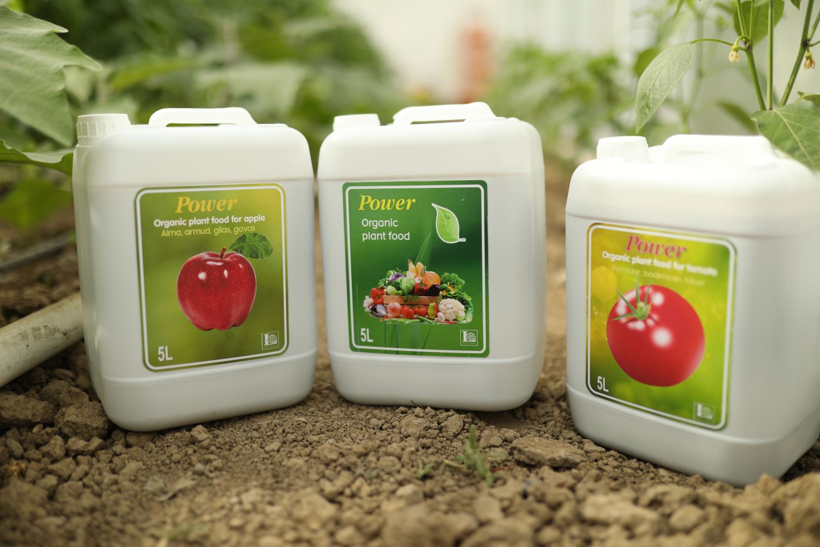 Production of high quality organic fertilizers started in Azerbaijan (PHOTO)