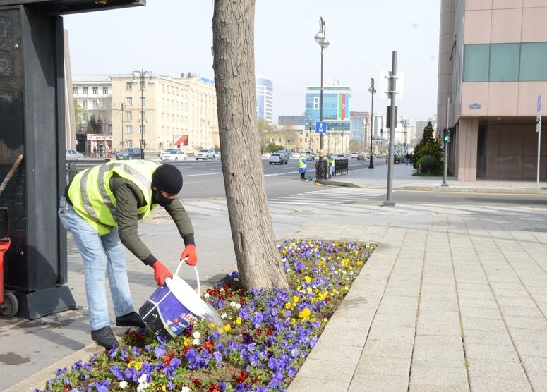 В Баку организованы масштабная дезинфекция и работы по благоустройству (ФОТО)