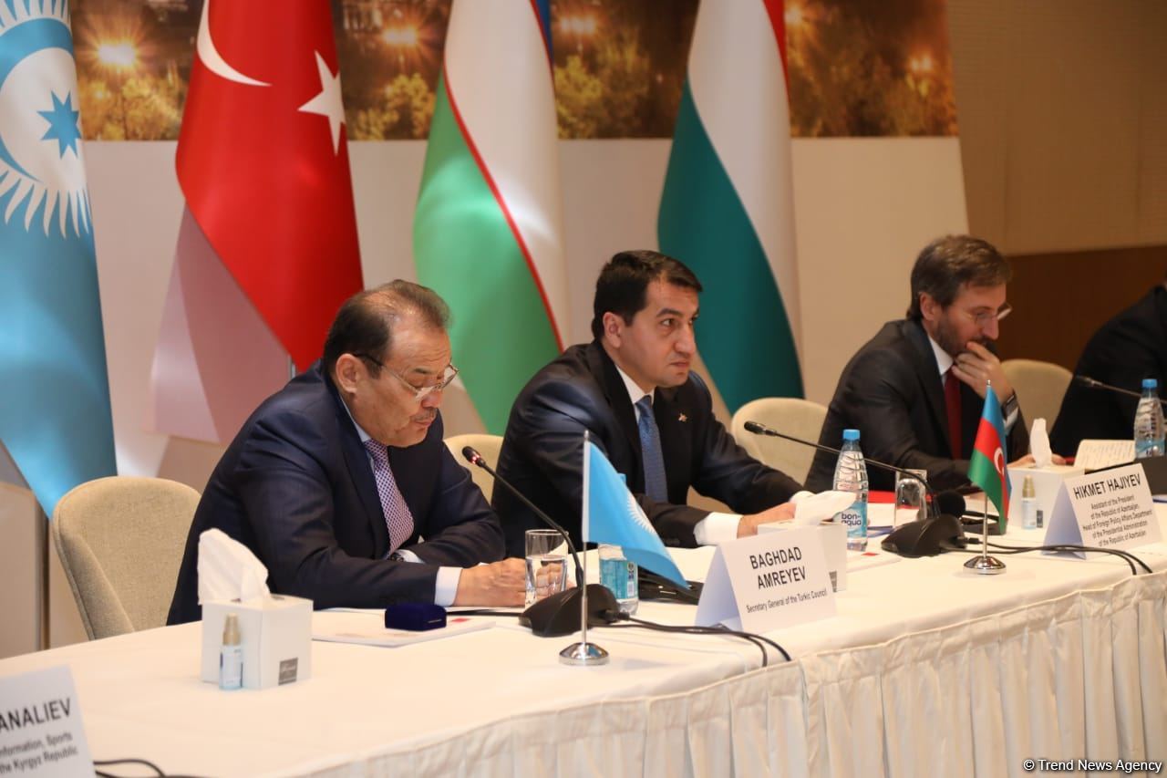 Azerbaijan working to develop ties between Turkic states - president's assistant