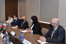 Глава МИД Азербайджана принял делегацию Сената Италии (ФОТО)