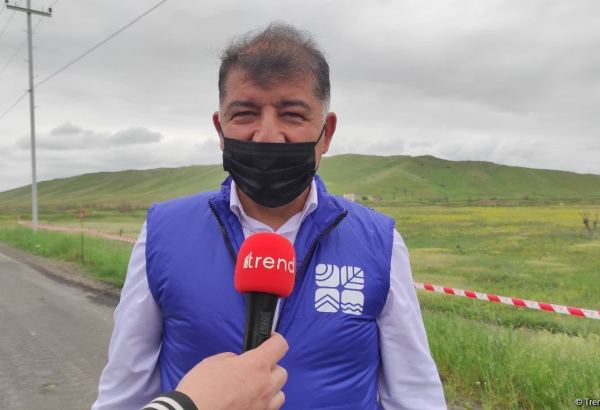 Армяне совершили экологический террор на оккупированных землях Азербайджана - минэкологии