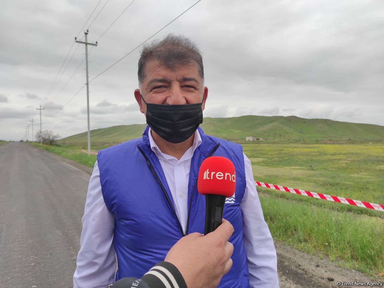 В Азербайджане установят точную площадь уничтоженных армянами во время оккупации лесов - минэкологии