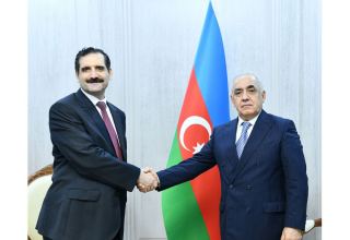 Премьер-министр Азербайджана встретился с послом Турции