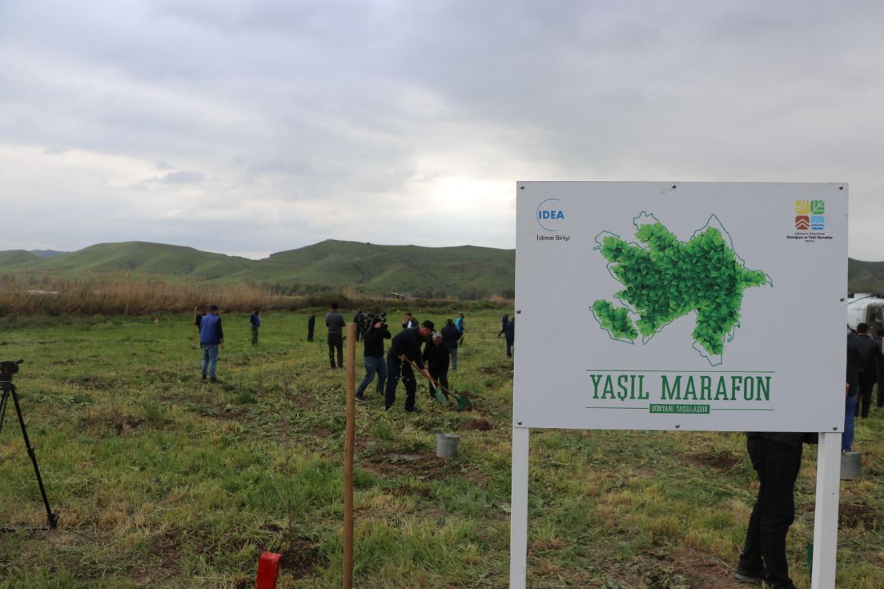В рамках "Зеленого марафона" в Губадлинском районе посажено 750 деревьев (ФОТО)