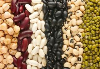 Uzbekistan starts export of legumes for French Bonduelle
