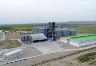 Indicators of Turkmenistan's agro-industrial sector improve