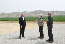 Президент Ильхам Алиев принял участие в презентации агропарка ООО Aqro Dairy в Гаджигабуле (ФОТО)