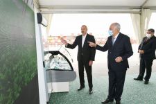 Президент Ильхам Алиев принял участие в открытии «Шамахинского агропарка Азерсун» (ФОТО) (Версия 2)