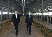 Президент Ильхам Алиев принял участие в открытии «Шамахинского агропарка Азерсун» (ФОТО)