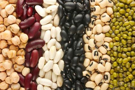 Uzbekistan starts export of legumes for French Bonduelle