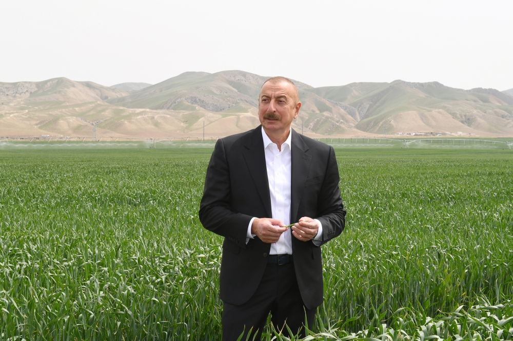 Президент Ильхам Алиев принял участие в презентации агропарка ООО Aqro Dairy в Гаджигабуле (ФОТО)