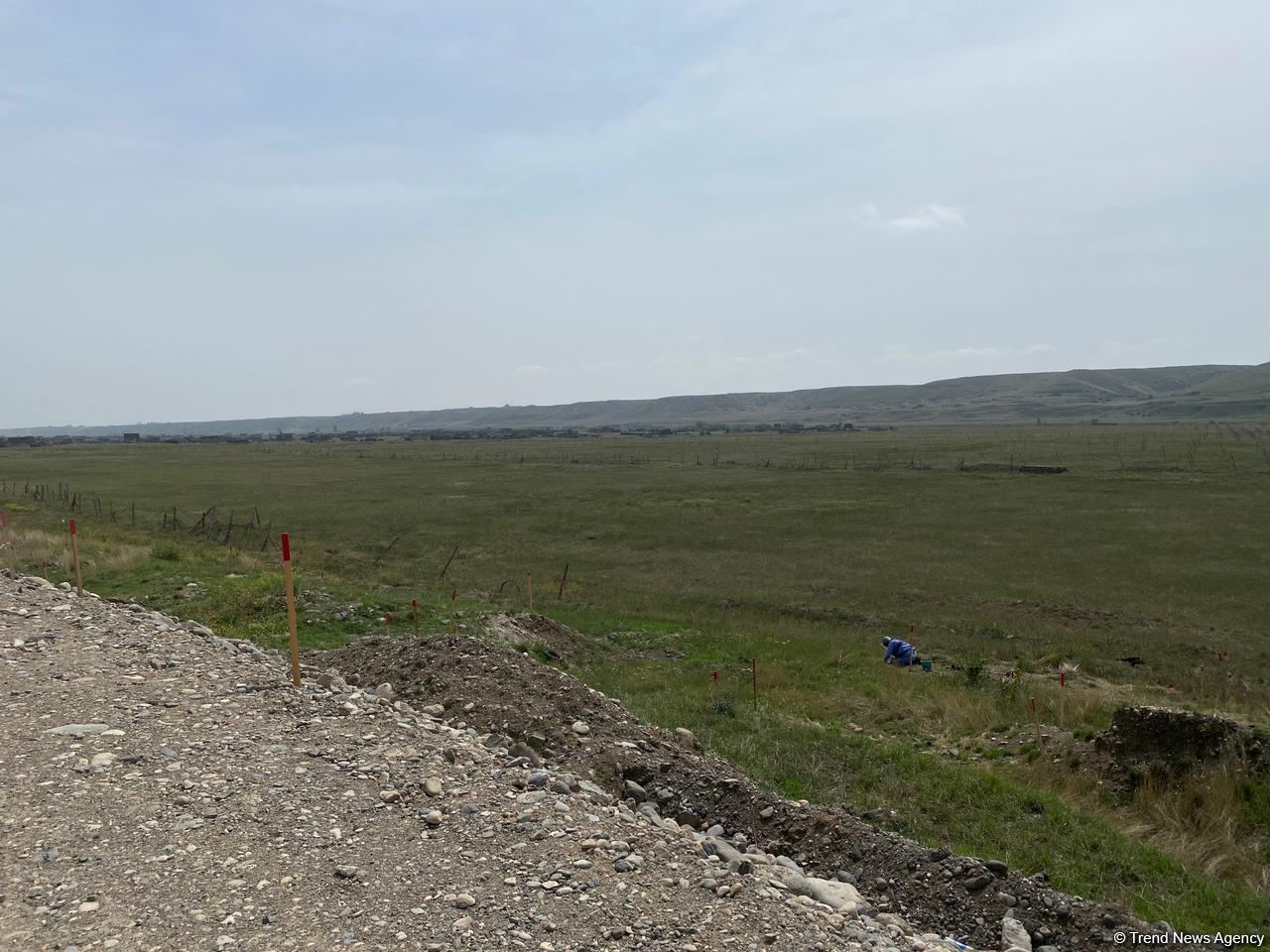 Суговушан и Талышкенд очищаются от мин для строительства ЛЭП (ФОТО)