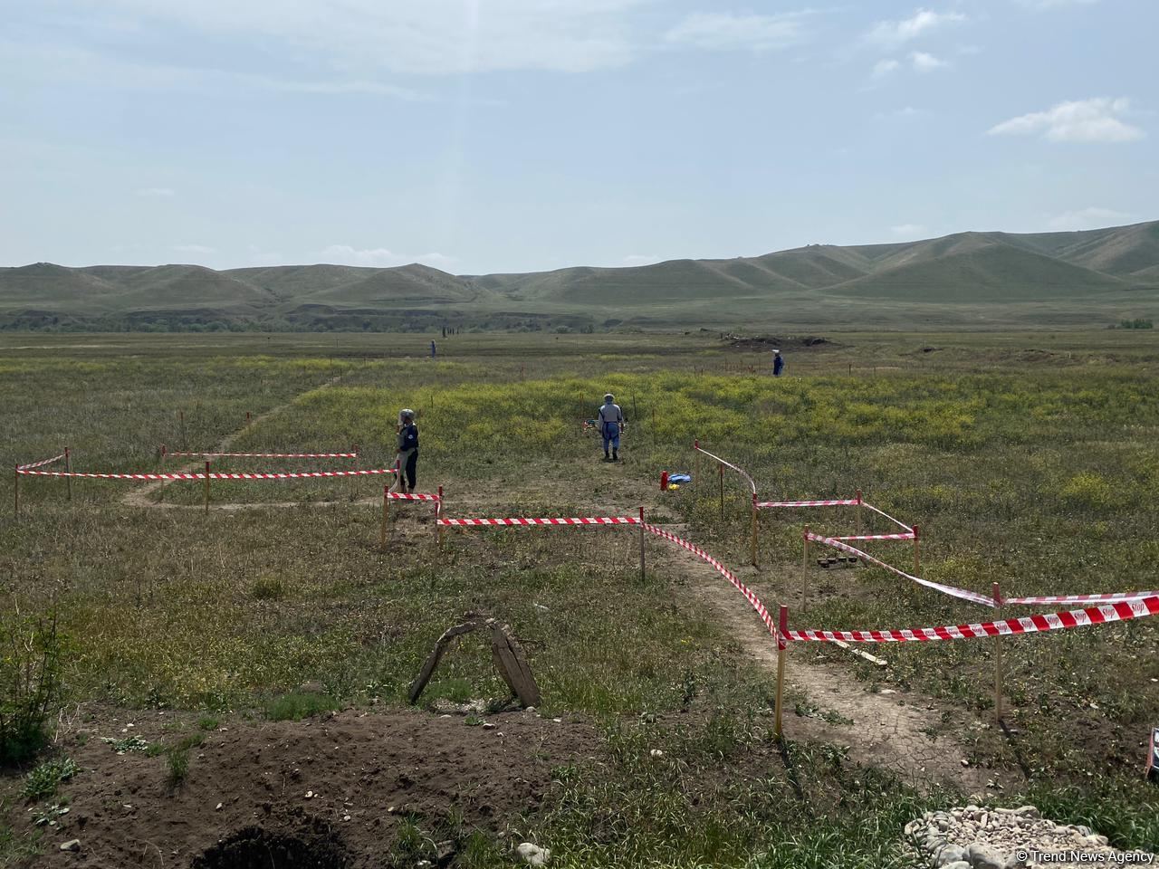 Суговушан и Талышкенд очищаются от мин для строительства ЛЭП (ФОТО)