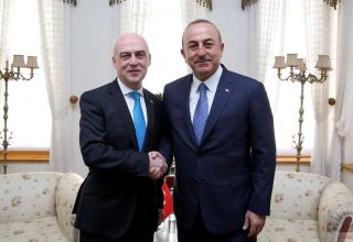 Georgian FM meets Turkish counterpart in Bucharest