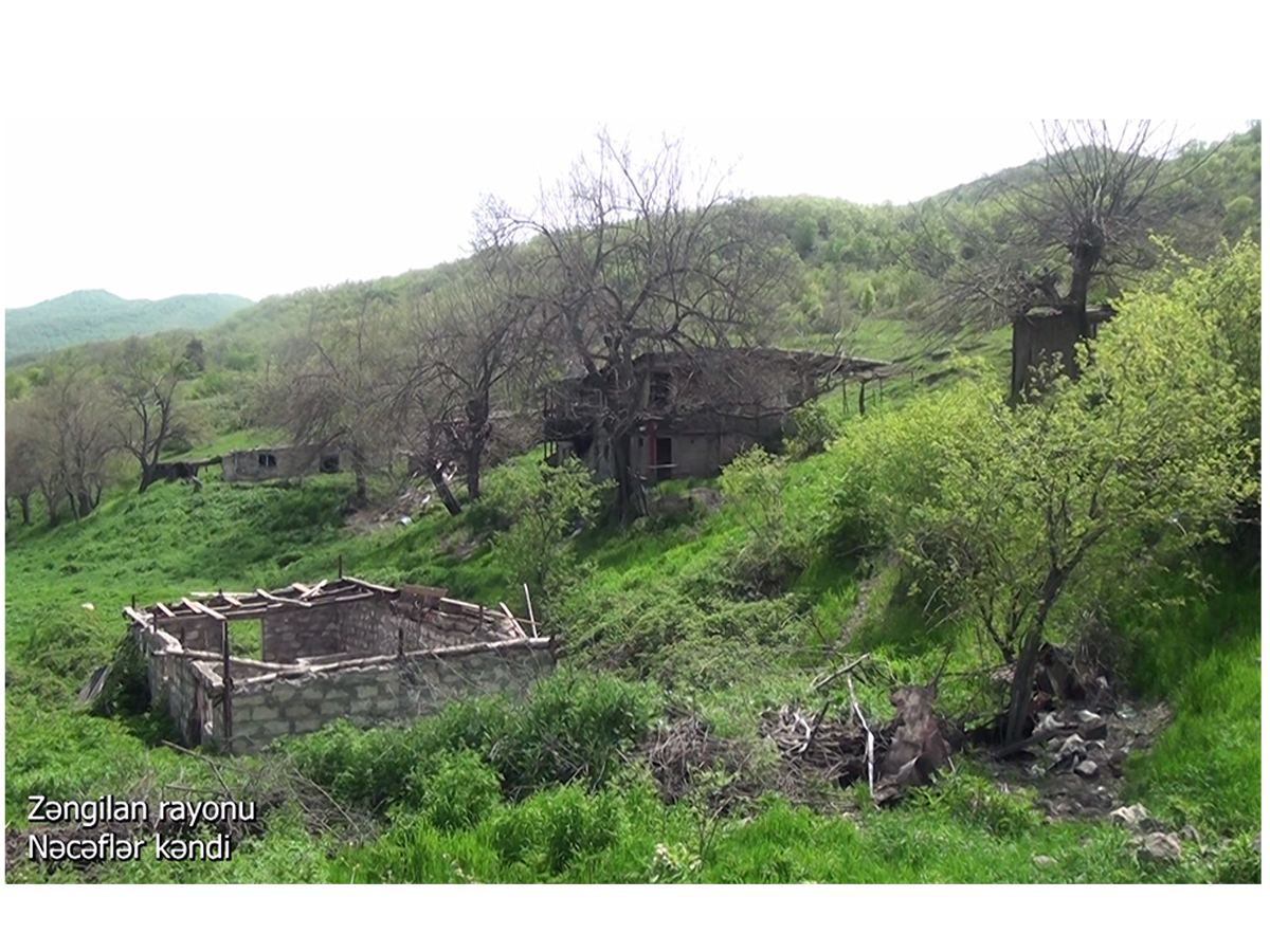 Село Наджафлар Зангиланского района (ВИДЕО)