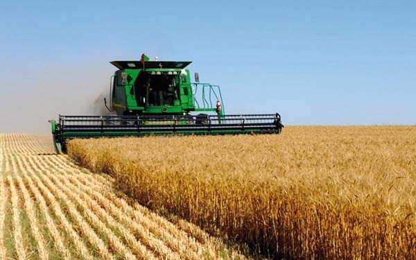 Lebap region of Turkmenistan preparing for wheat harvest