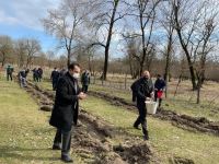 В Азербайджане этой весной посажено более 400 тыс. деревьев (ФОТО)