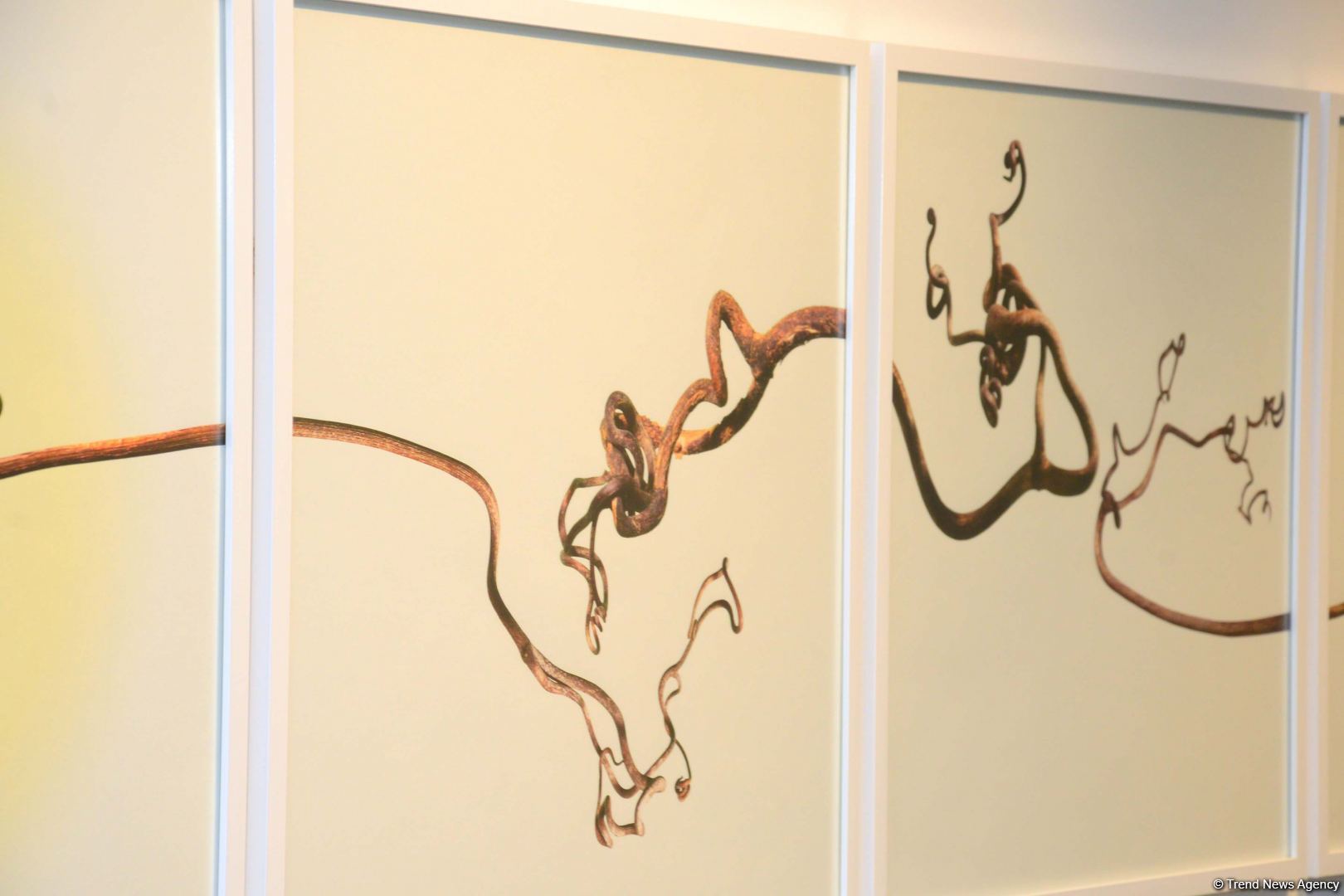 Gazelli Art House “Qrafik Hekayələr” sərgisini təqdim edir (FOTO)