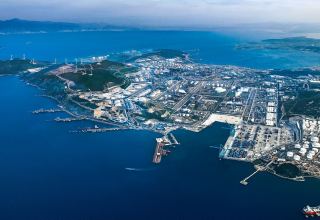 Turkish seaport Aliaga reveals volume of goods transshipment