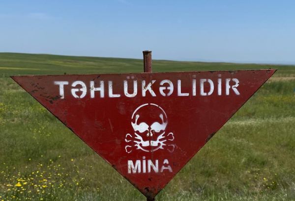 Агентство Азербайджана по разминированию очистило от мин территорию площадью до 140 га