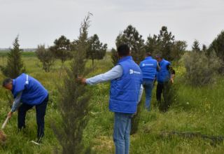 “Aztelekom” MMC-nin kollektivi ağacəkmə aksiyası həyata keçirib (FOTO)