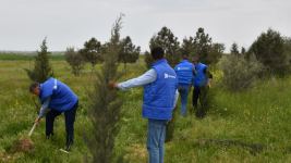 “Aztelekom” MMC-nin kollektivi ağacəkmə aksiyası həyata keçirib (FOTO)