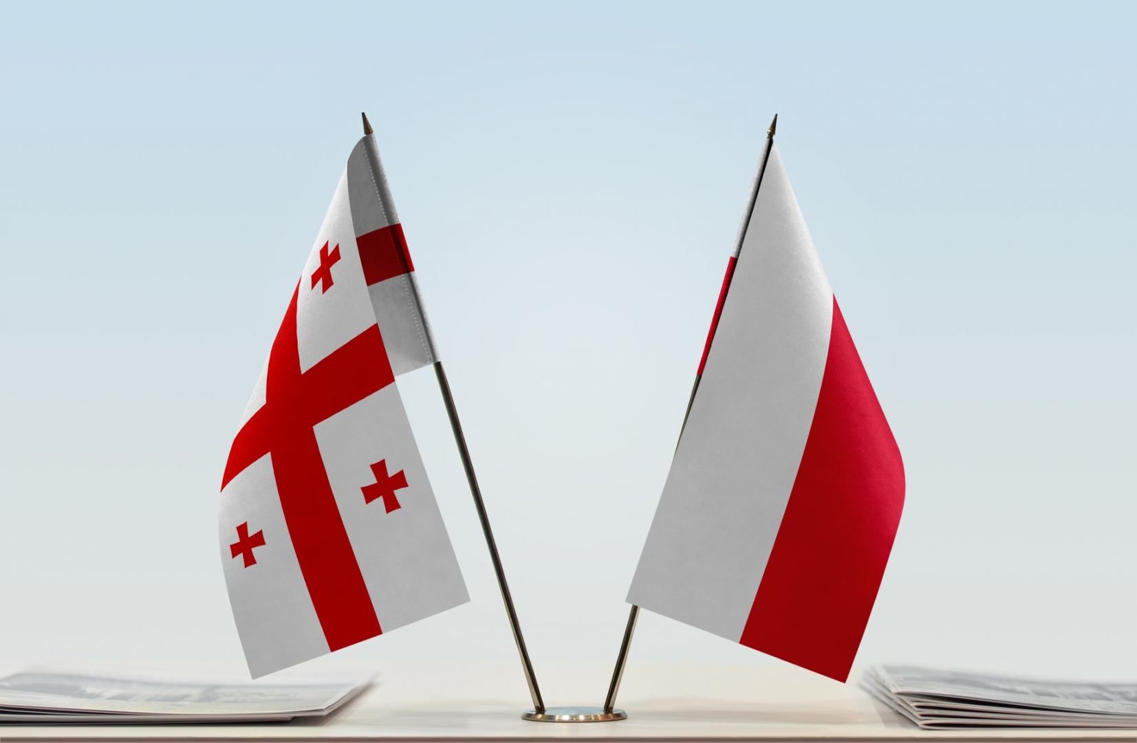 Georgia and Poland have potential for development of bilateral trade