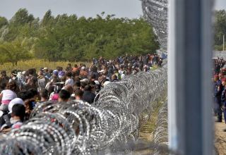 На севере Сербии задержали несколько сотен мигрантов