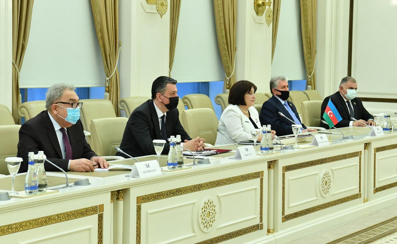 Chair of Azerbaijani parliament meets Georgian PM (PHOTO)
