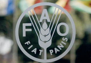 Food prices index slightly up in April: FAO