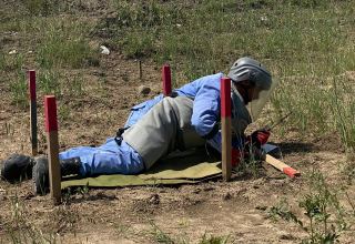Azerbaijan's ANAMA shares results of weekly mine clearing work in liberated areas