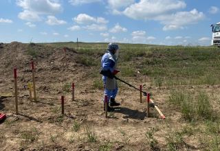 Azerbaijani MoD unveils number of cleared mines in country’s liberated territories