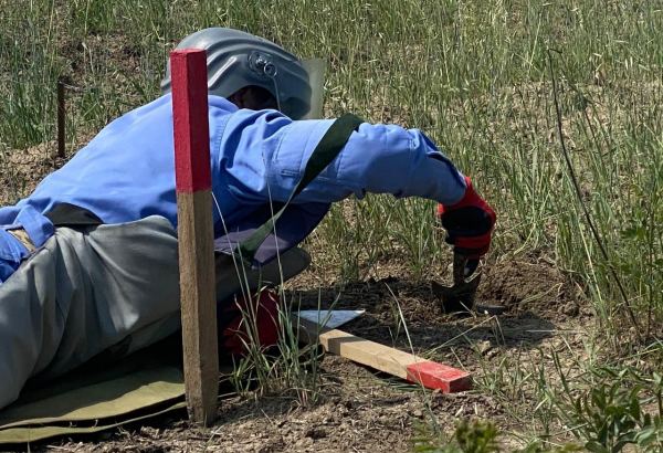 Territory of Azerbaijan's Aghdam Industrial Park fully cleared of landmines