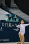Results of Azerbaijani gymnasts’ performance in exercises with clubs, ribbons as part of Rhythmic Gymnastics World Cup in Baku (PHOTO)