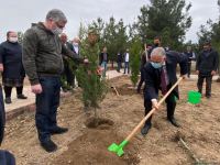 Ağdamda Ulu öndərin doğum günü münasibətilə ağacəkmə kampaniyası keçirilib (FOTO)