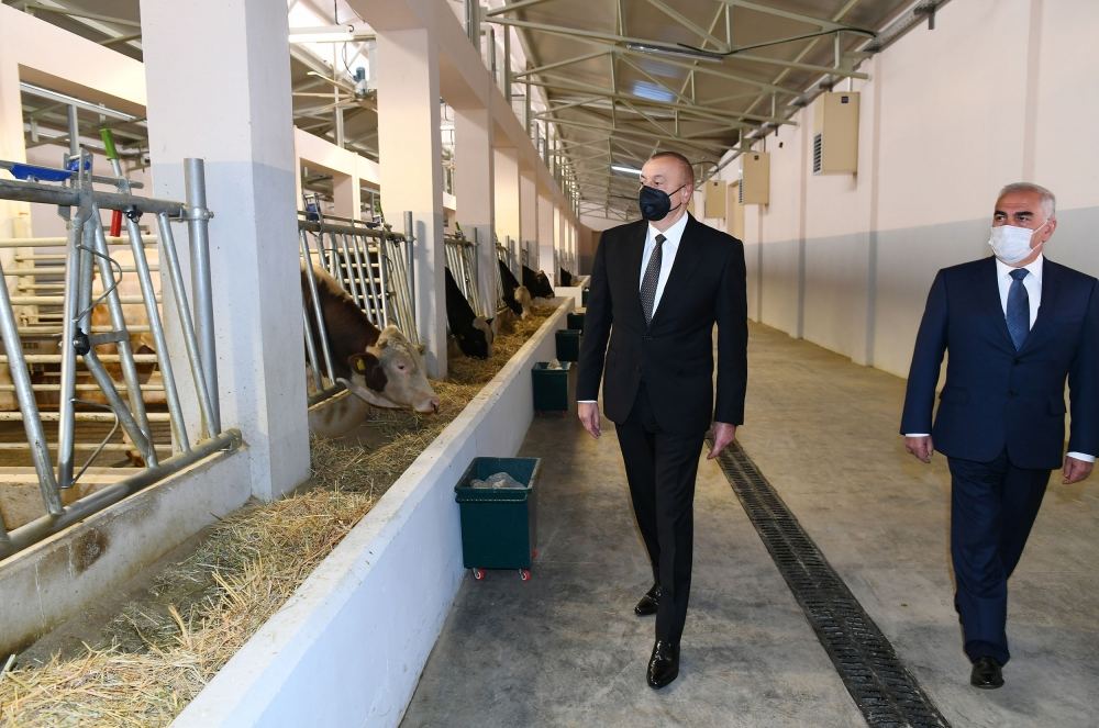 Президент Ильхам Алиев принял участие в открытии Центра искусственного осеменения в Нахчыване (ФОТО)