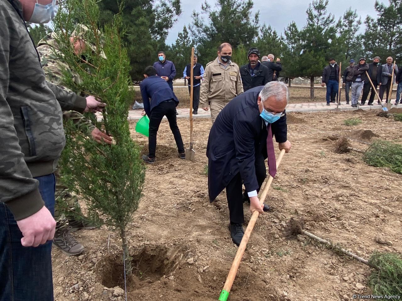 Ağdamda Ulu öndərin doğum günü münasibətilə ağacəkmə kampaniyası keçirilib (FOTO)