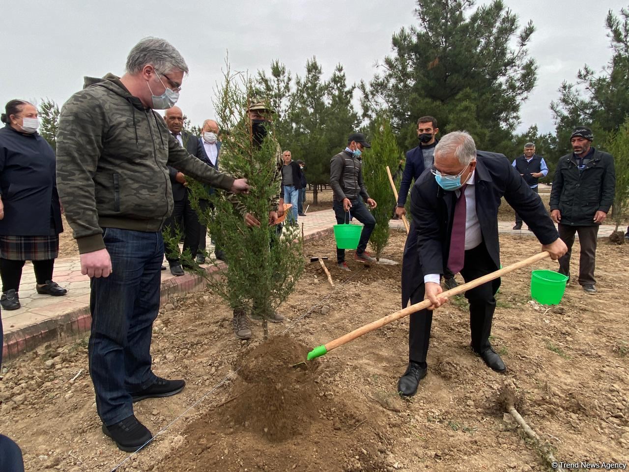 Ağdamda Ulu öndərin doğum günü münasibətilə ağacəkmə kampaniyası keçirilib (FOTO)