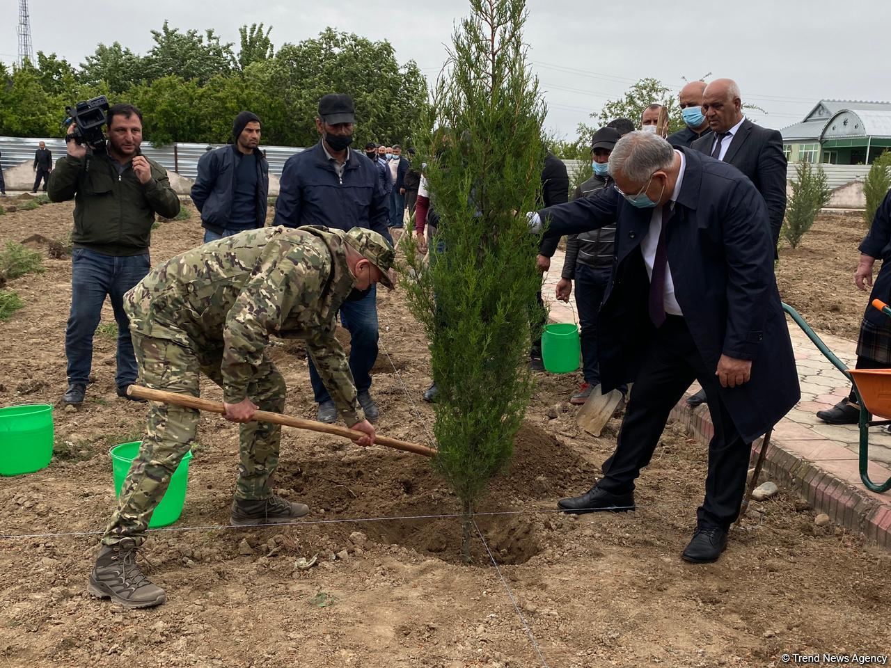 Ağdamda Ulu öndərin doğum günü münasibətilə ağacəkmə kampaniyası keçirilib (FOTO)