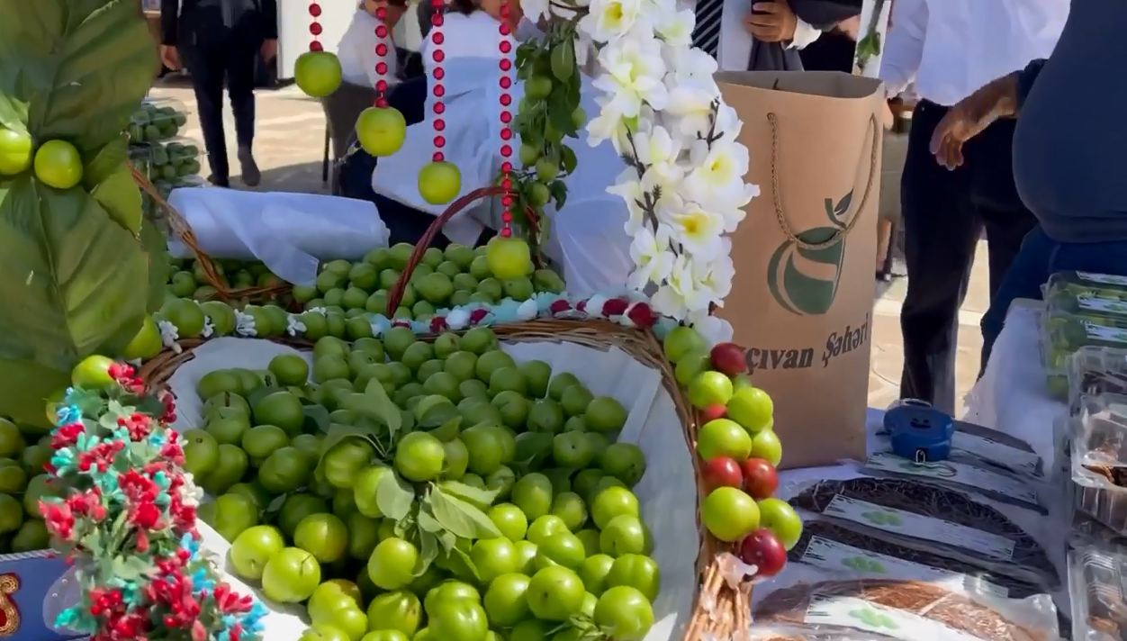 В Нахчыване проходит Фестиваль Göycə – райского фрукта (ФОТО)