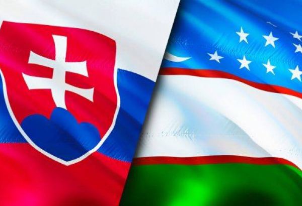Узбекистан и Словакия обсудили двустороннее сотрудничество