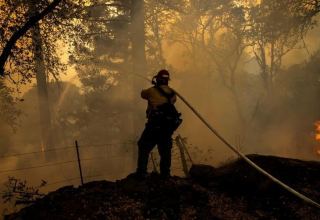 В США считают, что масштабы природных пожаров в стране будут расти из-за изменения климата