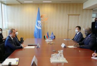 Azerbaijan, CTBTO discuss co-op prospects (PHOTO)