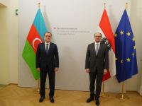 Обсуждены перспективы двусторонних отношений между Азербайджаном и Австрией (ФОТО)