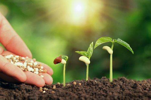 Uzbekistan taking measures to improve plant protection system
