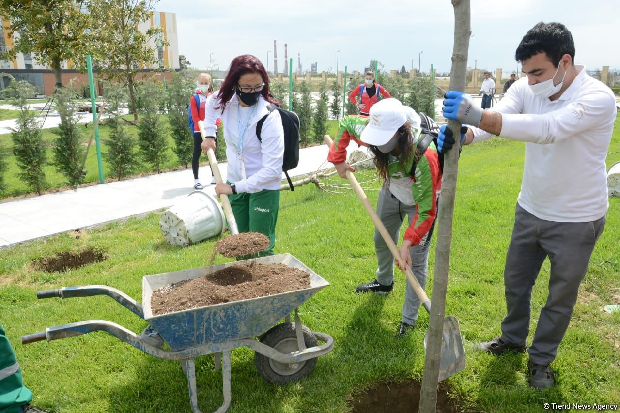 Tree planting held in Baku on eve of World Aerobic Gymnastics Championship (PHOTO)