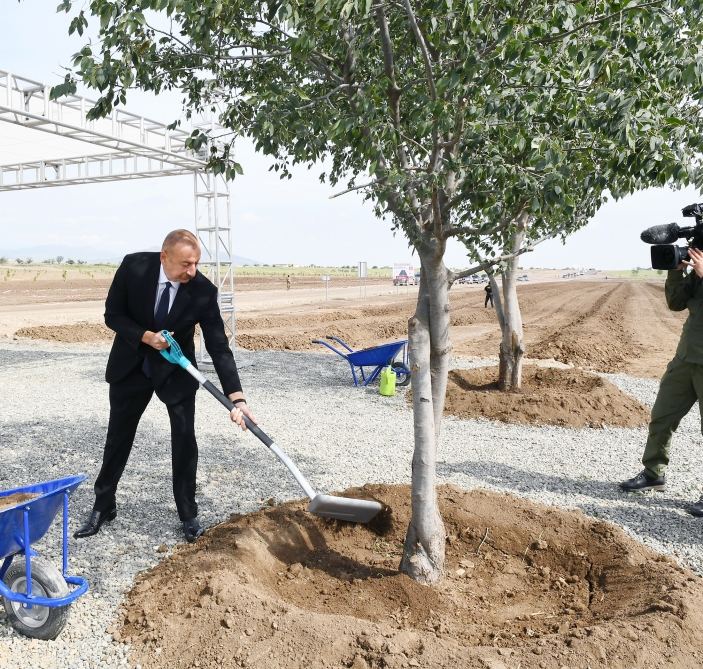 Президент Ильхам Алиев посадил дерево в Агдамском городском лесопарке (ФОТО)