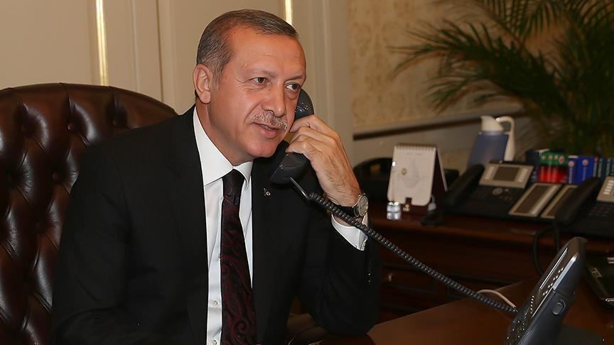 Эрдоган обсудил с канцлером Австрии ситуацию в Украине